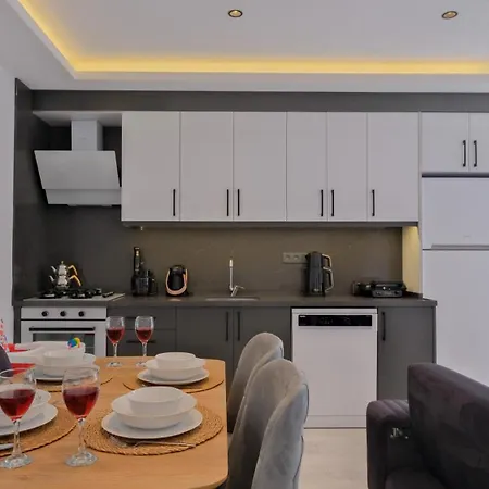 Sitrin 1 别墅 费特希耶