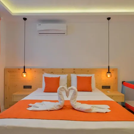 Sitrin 1 * 费特希耶